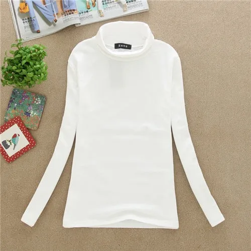 High Quality Autumn Winter Sweater Women Wool Turtleneck Pullovers